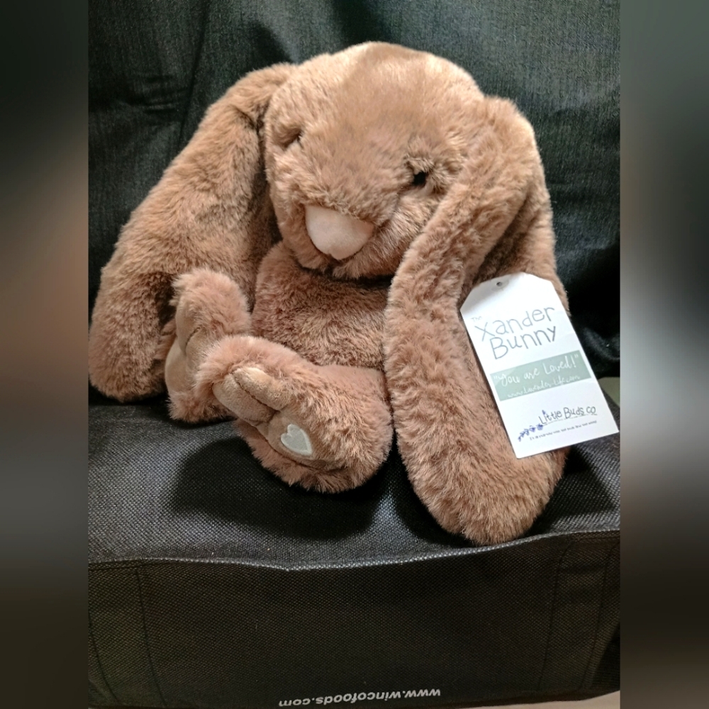The Xander Bunny